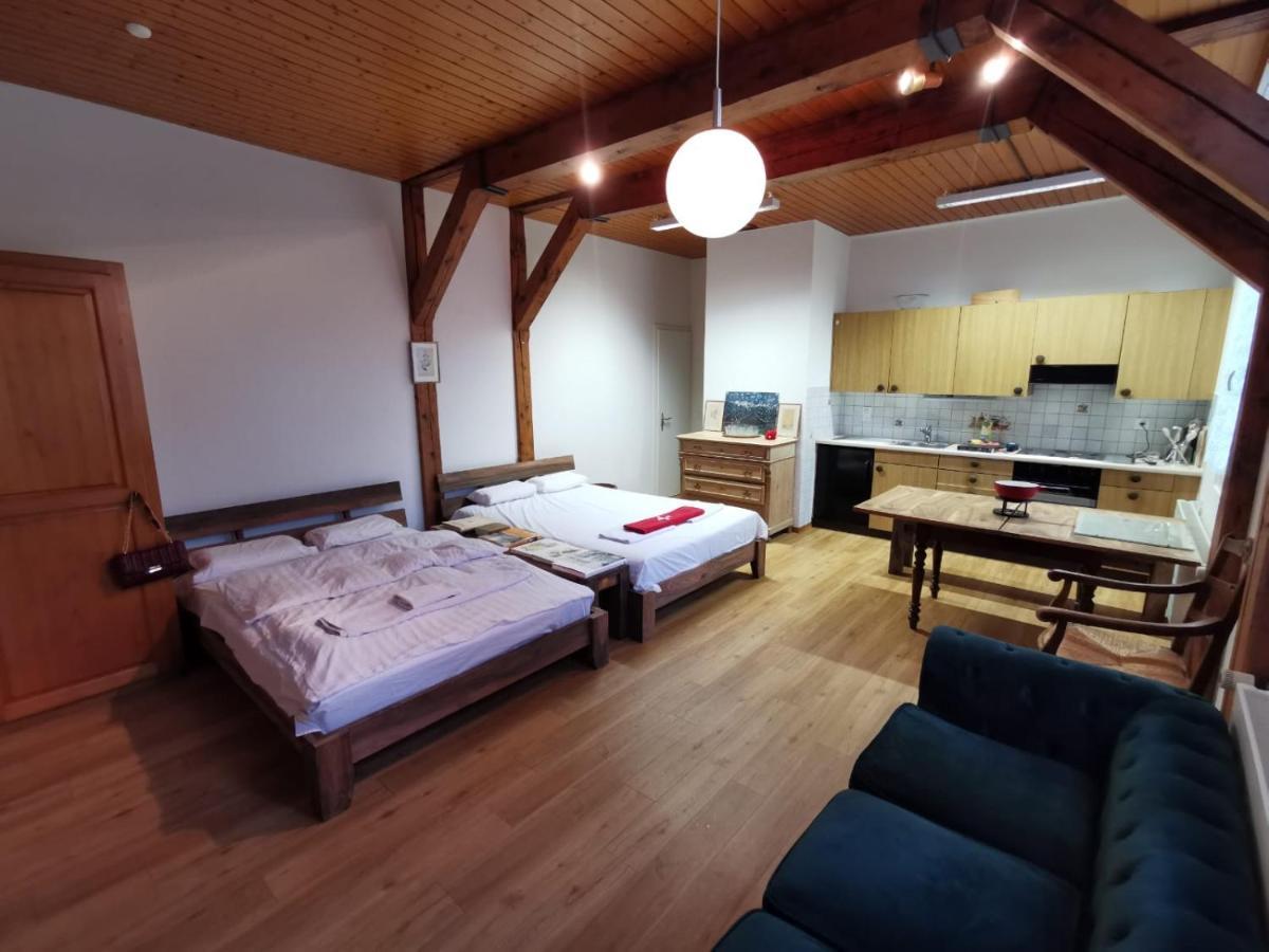 Simple Studio 36M2 In The Center Of Burgdorf Private Parking Small Bathroom Extérieur photo