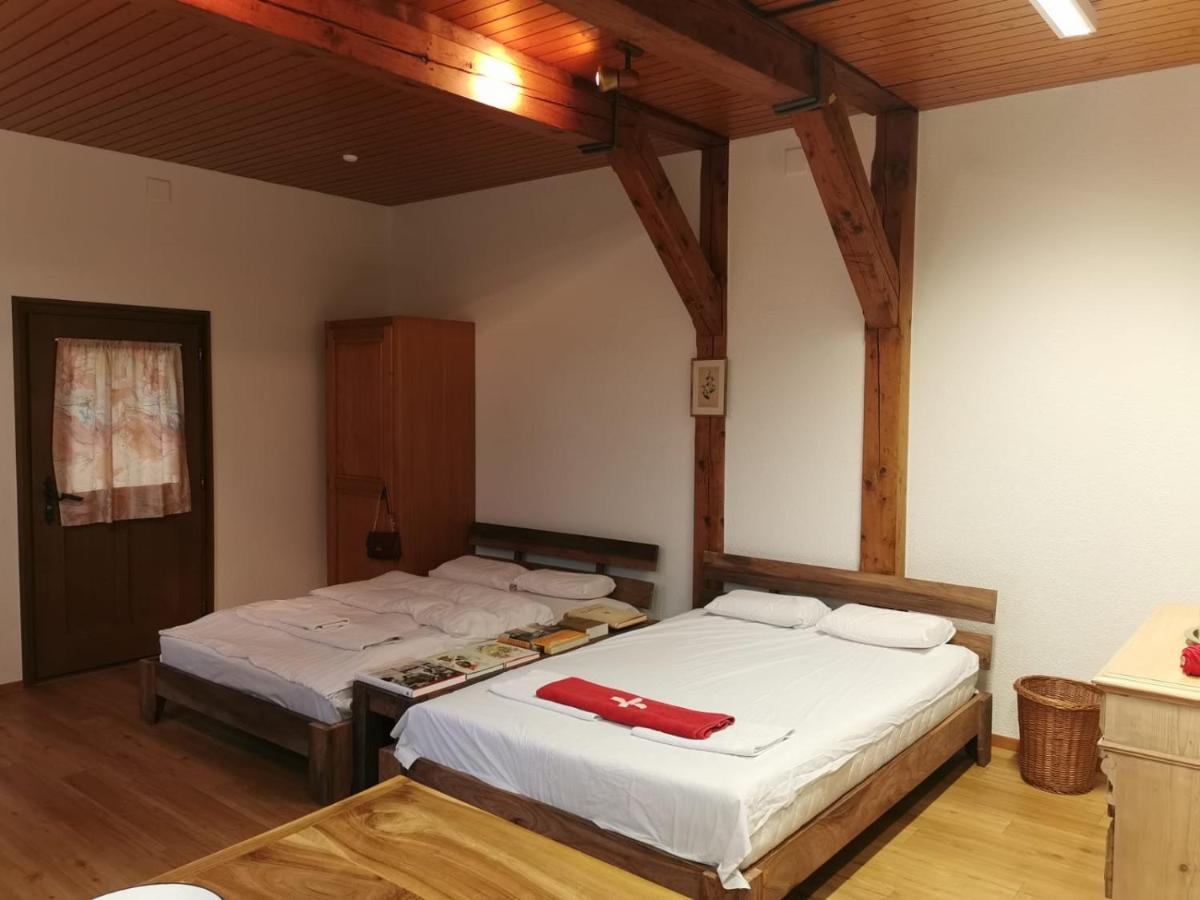Simple Studio 36M2 In The Center Of Burgdorf Private Parking Small Bathroom Extérieur photo